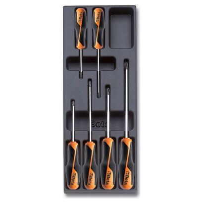 Thermoformateinsatz 6-Teilig BETA T202